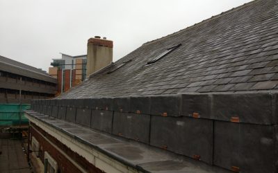 Swarthmore Education Centre, Leeds – Roof No. 2
