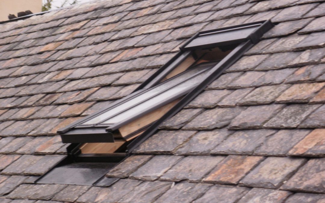 Roof lights