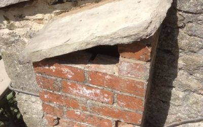 Jackdaw`s New Home
