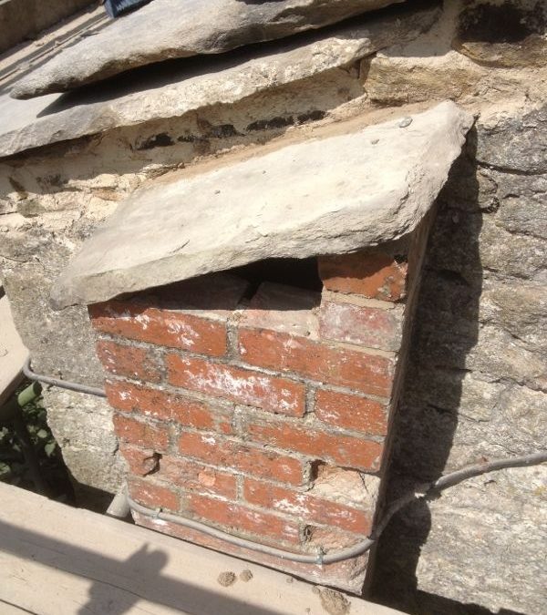Jackdaw`s New Home