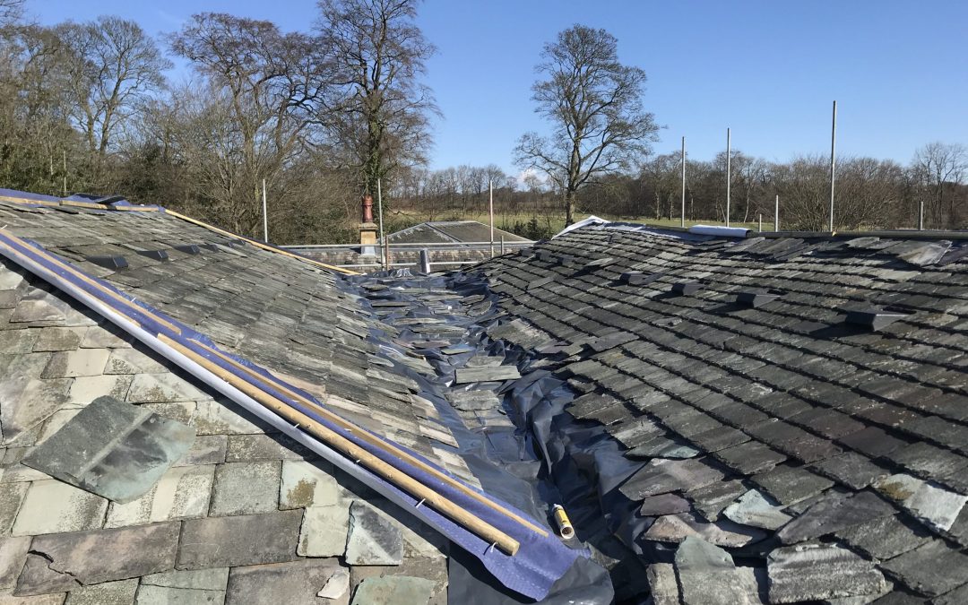 Property needing attention in Leeds 8